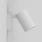 Ascoli Single Switched