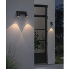 Dartmouth Twin Spotlight