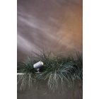 Astro spotlámpa Bayville Spike Spot 12V IP65 szürke mag 94cm kábel 2m