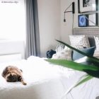 Hemispherical painted metal E27 lamp holder set