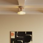 Fermaluce wooden lamp with Dash bulb