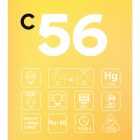 LED gold filament carbon filament cage Globe G125 7W 640Lm E27 2700K dimmable - C56