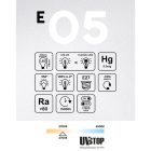 LED transparent globe bulb G125 4W 470Lm E27 2700K - E05