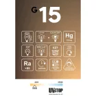 LED smoked bulb Ghost Line G125 CRI 90 6W 220Lm E27 1900K Dimmable - G15