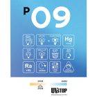 LED porcelain effect bulb CRI 95 G125 12 W 1521 lm E27 2700 K dimmable - P09