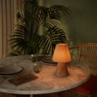 Portable and rechargeable Cabless11 lamp with Drop bulb and lampshade