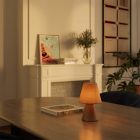 Portable and rechargeable Cabless11 lamp with Drop bulb and lampshade
