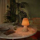 Portable and rechargeable Cabless11 lamp with Drop bulb and lampshade