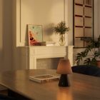 Portable and rechargeable Cabless11 lamp with Drop bulb and lampshade