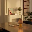 Portable and rechargeable Cabless11 lamp with Drop bulb and lampshade