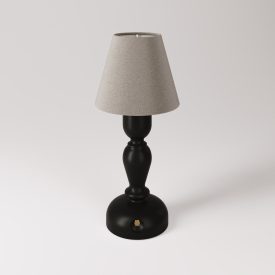   Portable and rechargeable Cabless14 lamp with teardrop-shaped bulb and lampshade