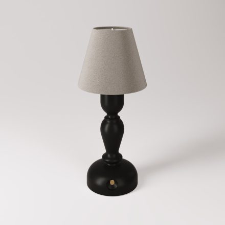 Portable and rechargeable Cabless14 lamp with teardrop-shaped bulb and lampshade