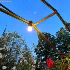 Ready-made, 7.5 m Lumet string light set with 5 black lamp holders, hook and plug