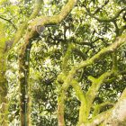 Ready-to-use 12.5 m Lumet String Light set with 10 black lamp holders, hangers and plugs