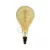 XXL LED Golden Bulb - Pear A165 Curved Spiral Filament - 5W E27 Dimmable 2000K
