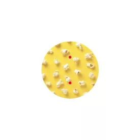   200 mm diameter round pre-drilled panel for Rose-One system - PROMO