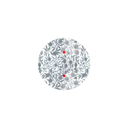 200 mm diameter round pre-drilled panel for Rose-One system - PROMO