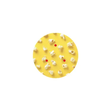 200 mm diameter round pre-drilled panel for Rose-One system - PROMO