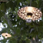 Mini Ellepì "Maioliche" flat lampshade, ideal for pendant and wall lamps or string lights, 24 cm diameter - Made in Italy