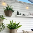  LED Globetta G45 Decorative Milky 2.2W E27 2700K Bulb