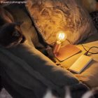  SI! 5 V portable lamp with A60 bulb