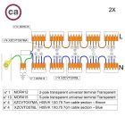 WAGO connector set, compatible with 2x cables, for 15-hole ceiling rosettes