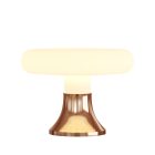 Fermaluce thermoplastic wall or ceiling lamp