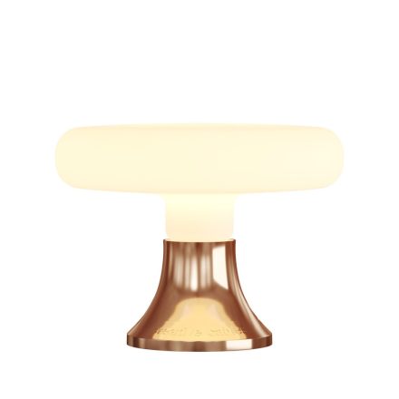 Fermaluce thermoplastic wall or ceiling lamp