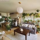 Wooden ceiling rosette set