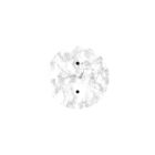 Round ceiling rose – a ceiling rose set with two holes and four side holes, 200 mm