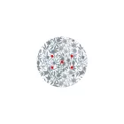  Round Rose-One 5-hole and 4-side hole ceiling rose set, 200 mm - PROMO