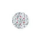  Round Rose-One 6-hole and 4-side hole ceiling rose set, 200 mm - PROMO