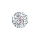  Round Rose-One 7-hole and 4-side hole ceiling rose set, 200 mm - PROMO