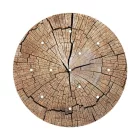  Round XXL Rose-One 12-hole and 4-side hole ceiling rose set, 400 mm - PROMO