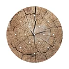  Round XXL Rose-One 15-hole and 4-side hole ceiling rose set, 400 mm - PROMO