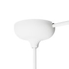 Silicone rose set with central hole and side hole arrangement