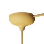 Silicone rose set with central hole and side hole arrangement