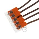 5-pole transparent universal connectors