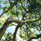 Wall cable guide for Lumet string lights – 10 pcs