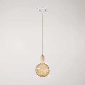 Rail-mounted pendant lamp with wooden lamp holder