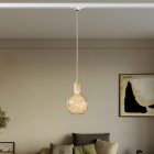 Rail-mounted pendant lamp with wooden lamp holder