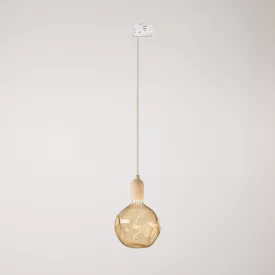 Rail-mounted pendant lamp with wooden lamp holder