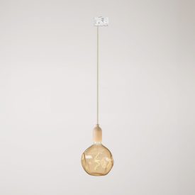 Rail-mounted pendant lamp with wooden lamp holder
