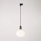 Rail-mounted pendant lamp with wooden lamp holder