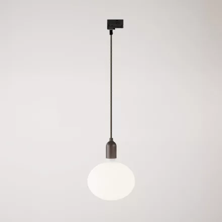Rail-mounted pendant lamp with wooden lamp holder
