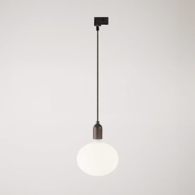Rail-mounted pendant lamp with wooden lamp holder