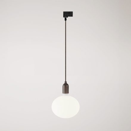 Rail-mounted pendant lamp with wooden lamp holder