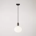 Rail-mounted pendant lamp with wooden lamp holder