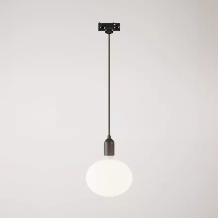 Rail-mounted pendant lamp with wooden lamp holder