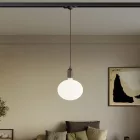 Rail-mounted pendant lamp with wooden lamp holder
